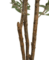 Nahaufnahme einiger brauner Äste mit rauer Rinde und einigen grünen Blättern des künstlichen Olivenbaums UV 180 cm vor einem schlichten weißen Hintergrund.