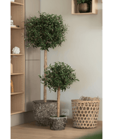 Zwei pflegeleichte künstliche Olivenbäume UV 85 cm mit schlanken Stämmen stehen nebeneinander auf einem Holzboden neben einem geflochtenen Korb und Holzplanken in einem modernen, minimalistischen Interieur.