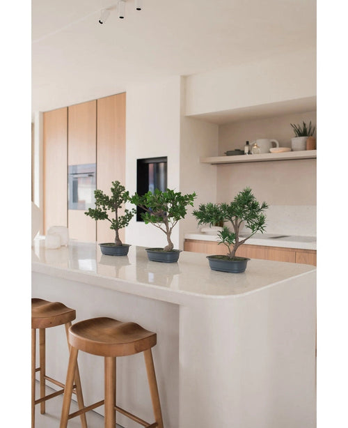 Drei künstliche Bonsai Podocarpus-Pflanzen 40 cm in Töpfen stehen auf einer weißen Kücheninsel mit zwei Holzhockern darunter. Die moderne Küche verfügt über helle Holzschränke und offene Regale mit Pflanzen und Dekor.