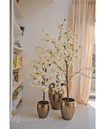 Eine 120 cm hohe künstliche Bougainvillea-Pflanze mit weißen Blüten in einem strukturierten Goldtopf steht neben einem Fenster mit transparenten Vorhängen, neben Regalen voller Bücher und Dekoration in einem hellen, modernen Raum.