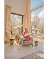 Eine Frau lacht auf einem beigen Sessel in der Nähe großer Fenster mit beigen Vorhängen, umgeben von drei künstlichen Bougainvillea 150 cm weiß in einem hellen, modernen Wohnraum voller natürlichem Licht.