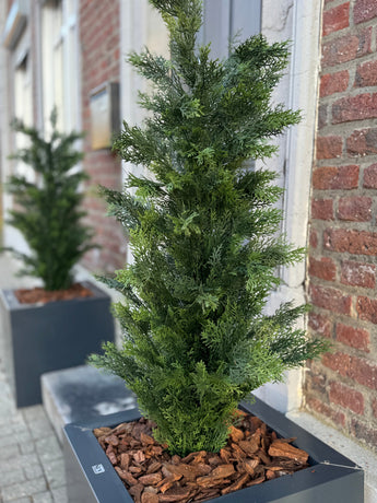 Eine Nahaufnahme der künstlichen Nadelbaumpflanze UV 120 cm, einer grünen künstlichen Nadelbaumpflanze in einem rechteckigen schwarzen Pflanzgefäß mit braunem Rindenmulch, ausgestellt auf einem Bürgersteig in der Nähe eines Backsteingebäudes; Ein weiterer solcher Pflanzer ist im Hintergrund.