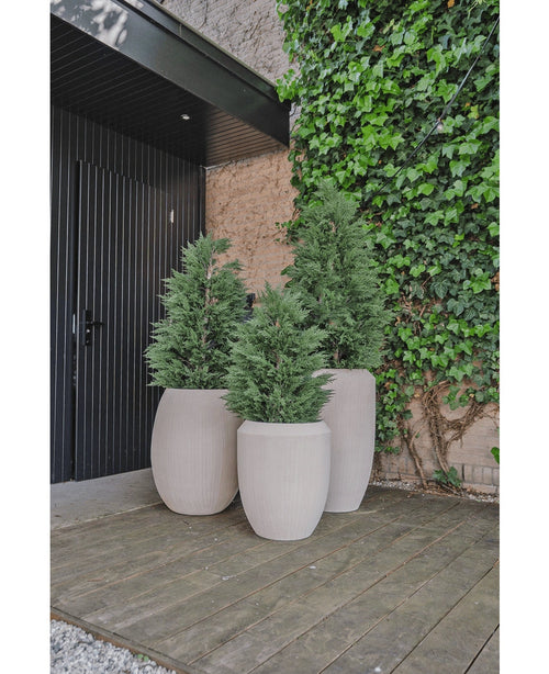 Drei große beige Pflanzgefäße mit Kunstpflanze Conifer Deluxe UV 150 cm stehen auf einer Holzterrasse in der Nähe einer schwarzen Tür und einer Efeuwand und schaffen einen stilvollen Außeneingang oder eine Terrasse für alle, die Inspiration für den Garten mit künstlichen Pflanzen suchen.