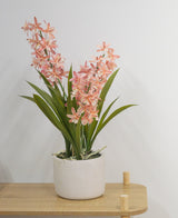 Die künstliche Cymbidium-Rosapflanze (58 cm), eine grüne Pflanze mit langen Blättern und langen Stielen mit hellrosa Blüten in einem weißen Keramiktopf, steht auf einem hellen Holztisch vor einer schlichten weißen Wand.