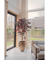 Eine künstliche Ficus-Pflanze in Grün/Rot, 180 cm, feuerfest, mit dunkelgrünen und roten Blättern, steht neben einem großen Fenster mit cremefarbenen Vorhängen in einem hellen, modernen Wohnzimmer neben einem beigen Sofa mit gemusterten Kissen. Draußen sind Bäume und ein Haus zu sehen.