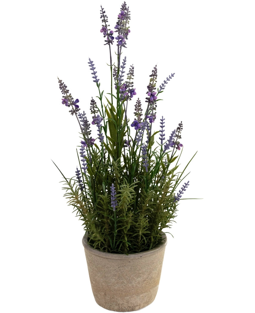Der künstliche Lavendel 51 cm im Dekotopf hat lange grüne Stiele und kleine lila Blüten in einem hellen Topf vor einem weißen Hintergrund.