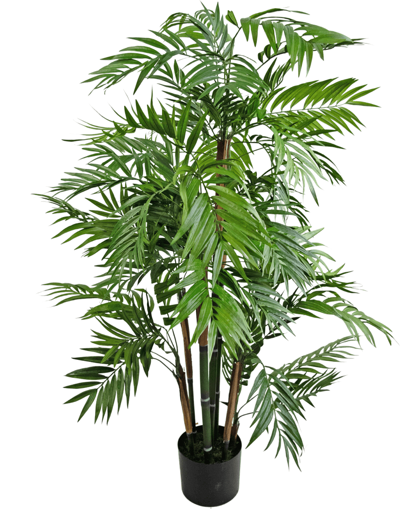 Die Kunstpflanze Parlour 120 cm ist eine hohe Palme in einem Topf mit langen, schlanken grünen Blättern und mehreren braunen Stielen, dargestellt vor einem schlichten weißen Hintergrund.