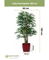 Künstliche Marienpalme 180 cm im roten Topf, 180 cm hoch und 80 cm breit; Der Topf ist 14 cm hoch und 18 cm breit. Markenlogo plus abgebildete Maße – perfekt als stilvolle grüne Kunstpflanze für jeden Raum.