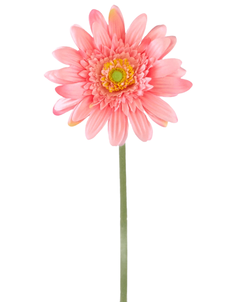 Eine künstliche Blumen-Gerbera 55 cm rosa besteht aus einer einzelnen rosa Gerbera mit einem gelbgrünen Herzen auf einem langen grünen Stiel vor einem schlichten weißen Hintergrund.