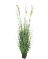 Die feuerhemmende Kunstrasenpflanze Weizen 150 cm ist eine hohe, wartungsfreie Pflanze mit schlanken grünen Blättern und Federn in einem Topf – ideal als Gartendekoration, dargestellt vor einem schlichten weißen Hintergrund.