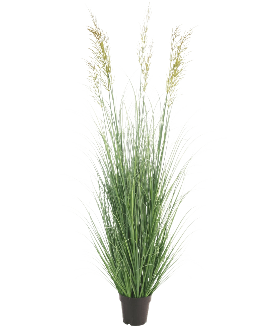 Die feuerhemmende Kunstrasenpflanze Weizen 150 cm ist eine hohe, wartungsfreie Pflanze mit schlanken grünen Blättern und Federn in einem Topf – ideal als Gartendekoration, dargestellt vor einem schlichten weißen Hintergrund.