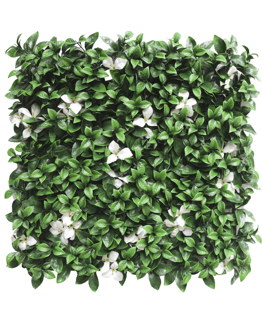 Die künstliche Hecke Gardenie mit weißer Blüte 50x50 cm UV ist eine quadratische Platte mit dichten grünen Blättern und vereinzelten weißen Blüten vor einem weißen Hintergrund.