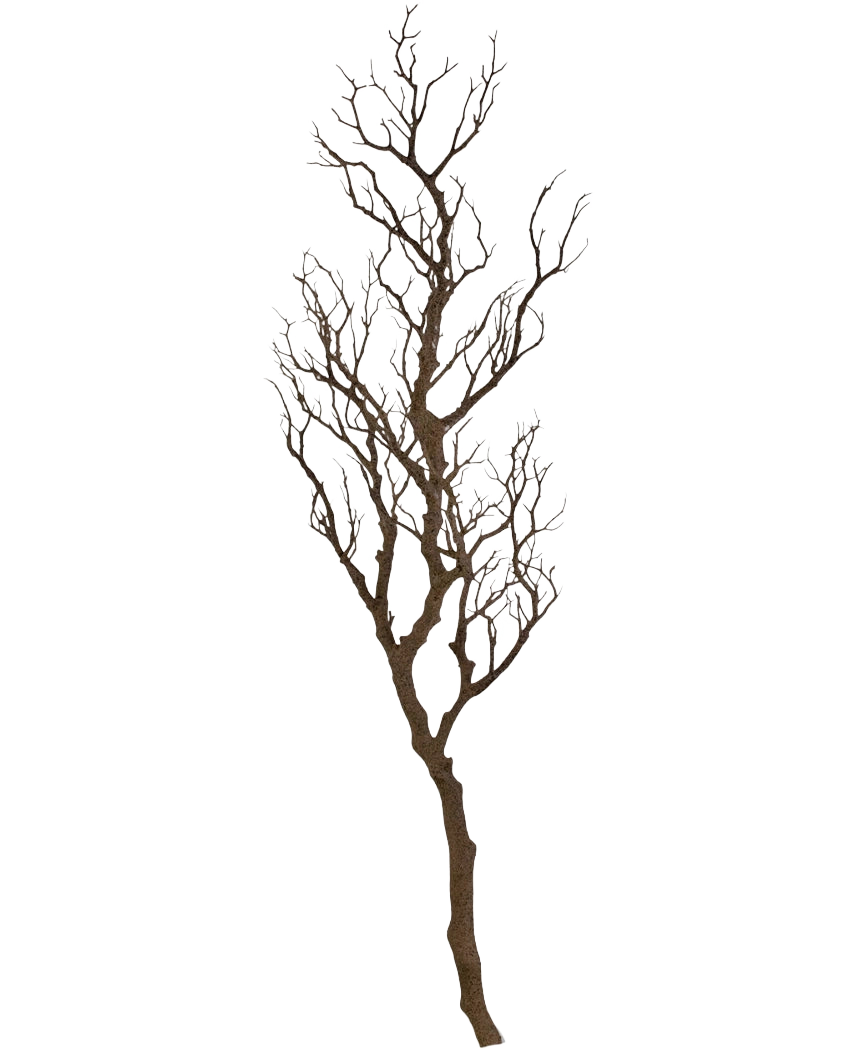 Der Art Decorative Branch 118 cm ist ein hoher, blattloser Dekozweig mit vielen dünnen, gedrehten Stielen, die nach oben ragen und vor einem schlichten weißen Hintergrund präsentiert werden.