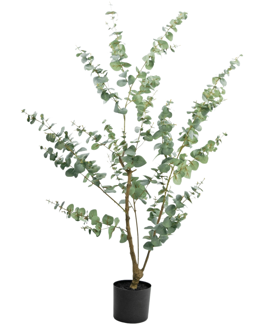 Die Kunstpflanze Eukalyptus 150 cm ist ein hoher künstlicher Eukalyptus im Topf mit langen, schlanken Zweigen und runden, silbergrünen Blättern vor einem schlichten weißen Hintergrund.