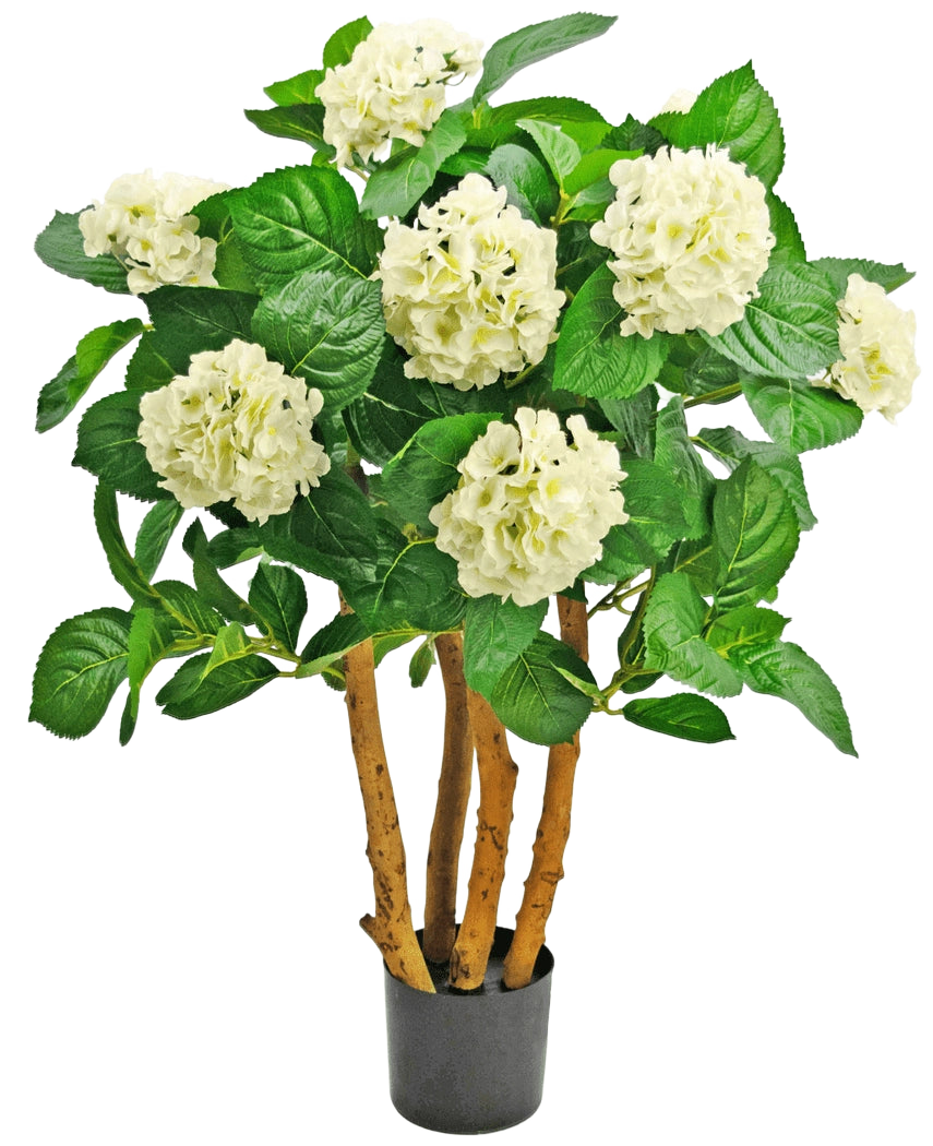 Die künstliche UV-Hortensie 85 cm weiß ist eine künstliche Pflanze in einem Topf mit kräftigen braunen Stielen, großen grünen Blättern und Büscheln weißer, hortensienartiger Blüten an der Spitze.