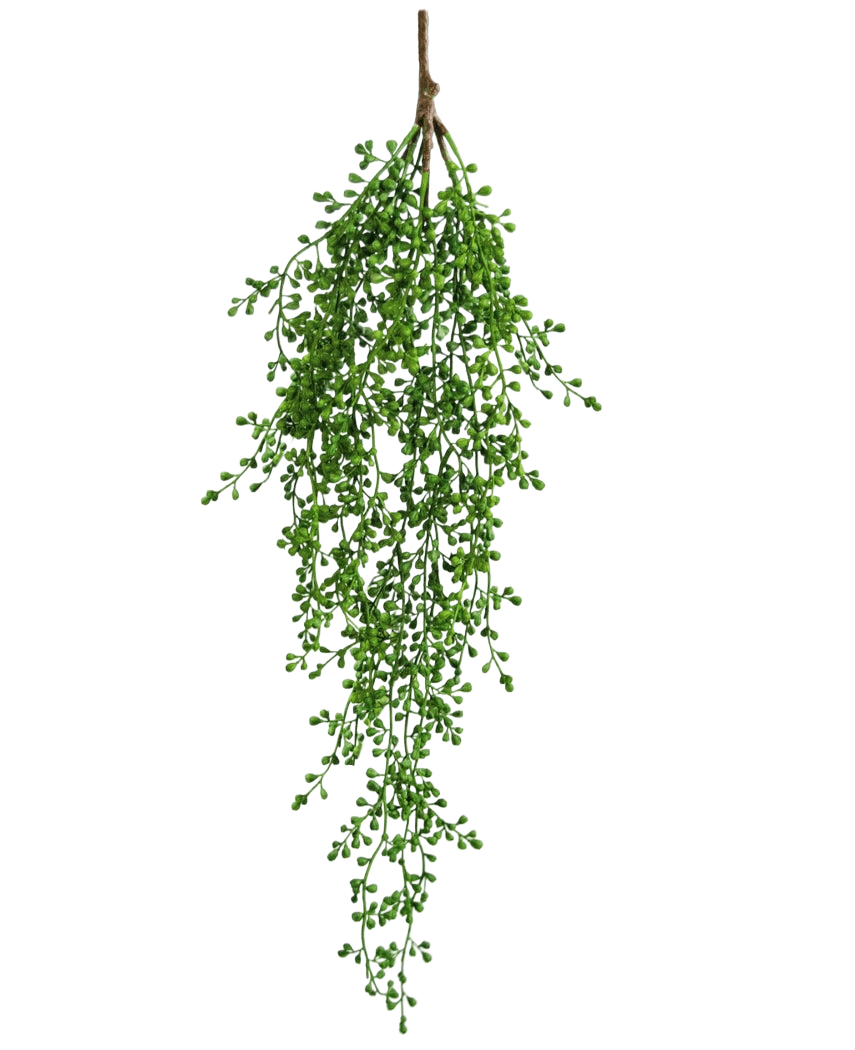 Die künstliche Hängepflanze Senecio 76 cm hat einen einzelnen Zweig künstlichen Grüns mit kleinen, büschelförmigen grünen Blättern, die vor einem schlichten weißen Hintergrund elegant nach unten hängen.