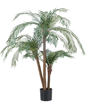 Die Kunstpalme Cycas Classic 135 cm hat mehrere schlanke Stämme und lange, gewölbte grüne Blätter, in einem schlichten schwarzen Topf vor einem schlichten weißen Hintergrund.