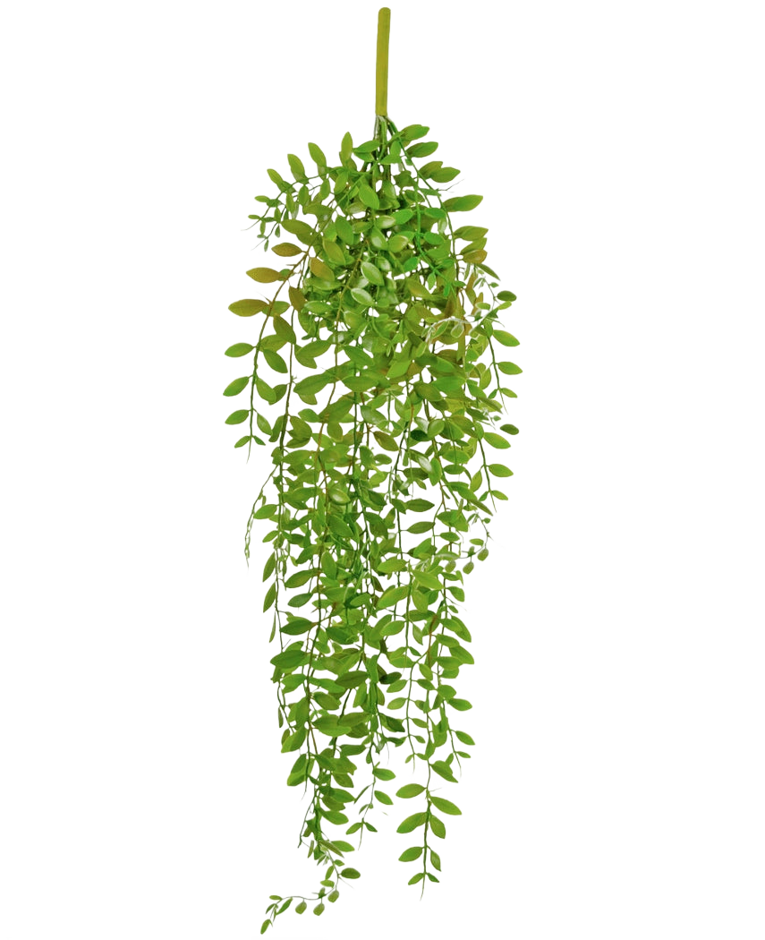 Die künstliche Hängepflanze Pumila 89 cm hat kleine, ovale grüne Blätter an mehreren hängenden Stielen, vor einem schlichten weißen Hintergrund.