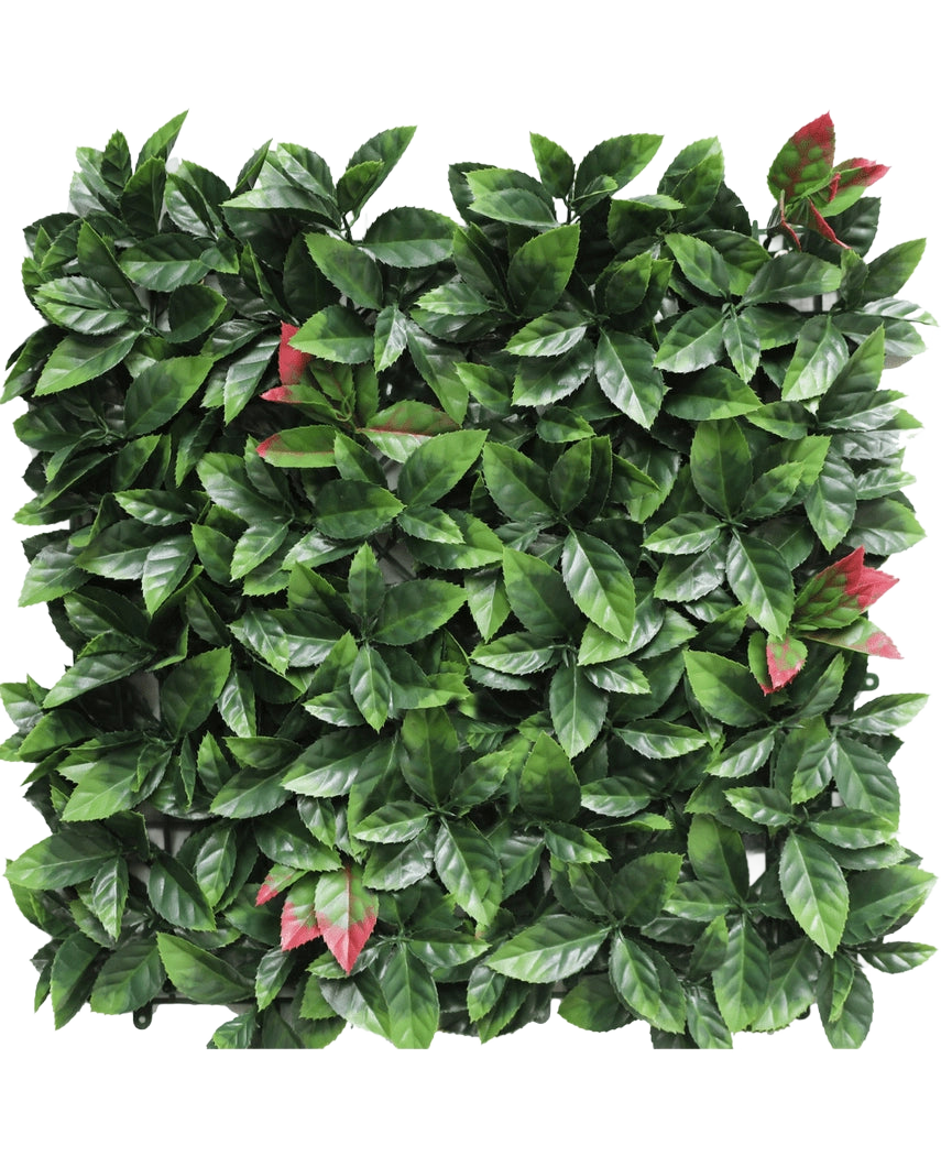 Die künstliche Hecke Photonia rot 50x50 cm UV ist ein quadratisches künstliches Heckenpaneel mit dichten grünen Blättern und vereinzelten rot getönten Büscheln, die alle auf einem weißen Hintergrund präsentiert werden.