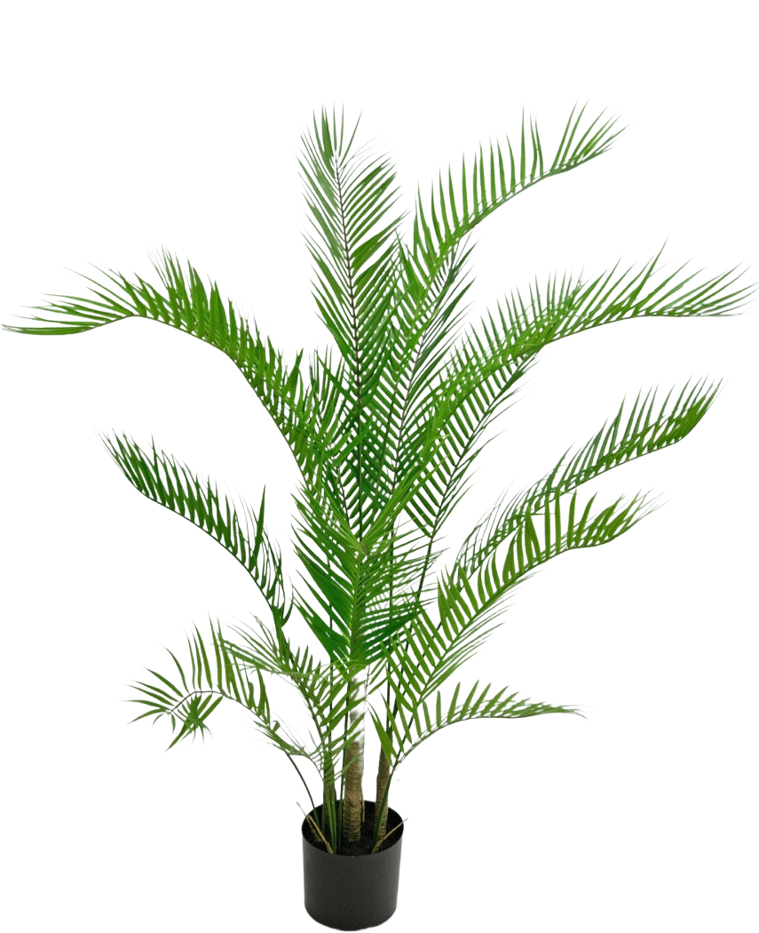 Die Kunstpflanze Chamaedorea 120 cm ist eine künstliche Palme mit langen, schlanken grünen Blättern in einem schwarzen runden Topf vor einem schlichten weißen Hintergrund.