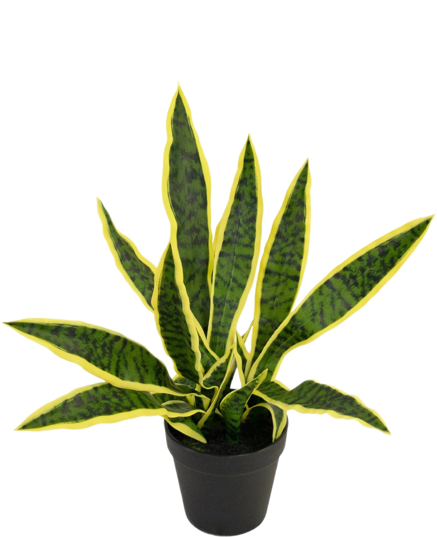 Vor einem schlichten weißen Hintergrund ist eine Kunstpflanze Sansevieria Laurentii 44 cm im dekorativen Topf mit langen, aufrechten grünen Blättern, gelben Rändern und dunklen Streifen abgebildet.