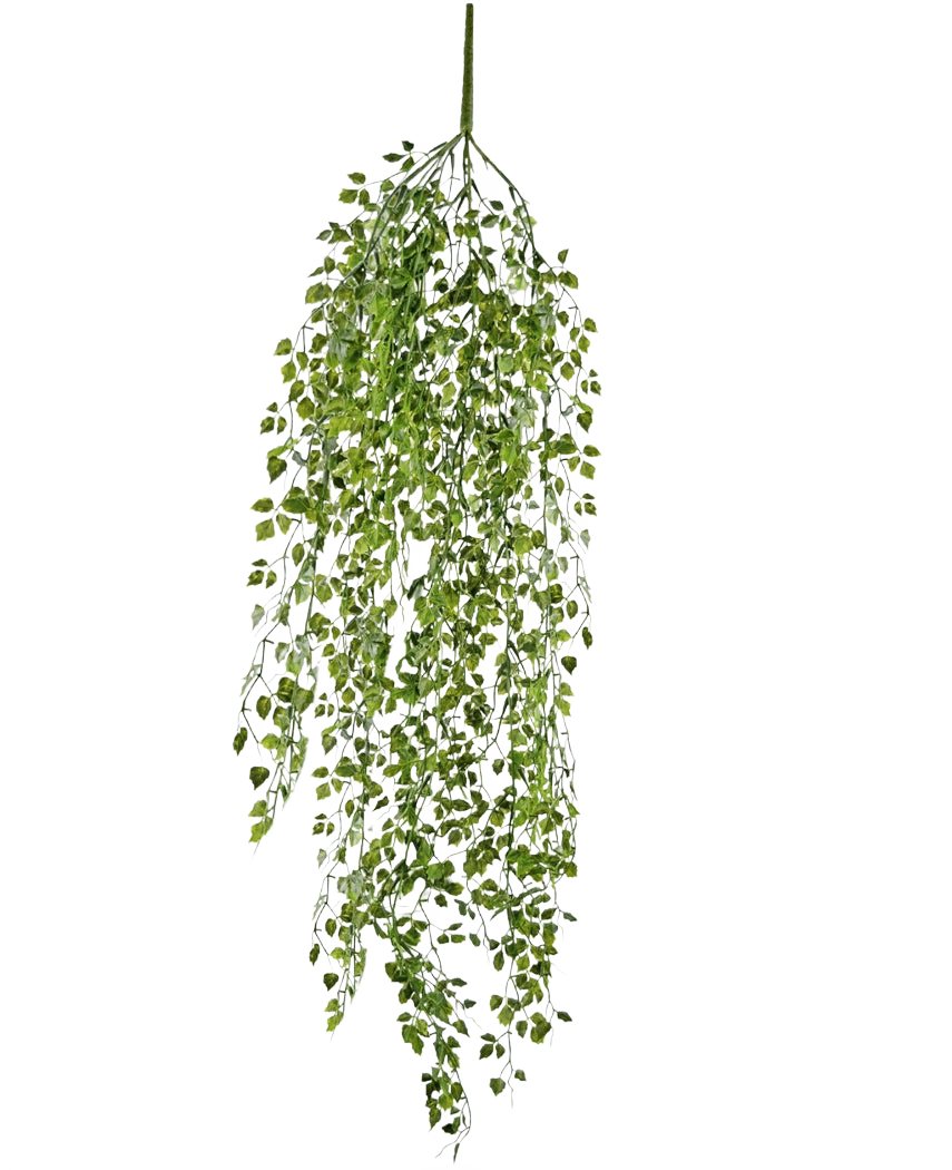 Die künstliche Hängepflanze Mini-Efeu 91 cm hat grüne Blätter an dünnen Stielen vor einem schlichten weißen Hintergrund.