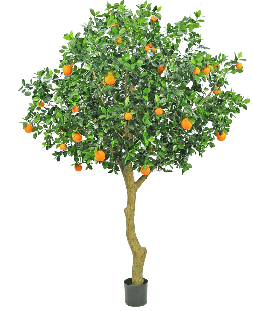 Der künstliche Orangenbaum 275 cm hat einen schlanken Stamm, dichte grüne Blätter und leuchtend orangefarbene Früchte, wodurch ein realistischer und dekorativer Orangenbaum in einem Topf vor einem schlichten weißen Hintergrund entsteht.