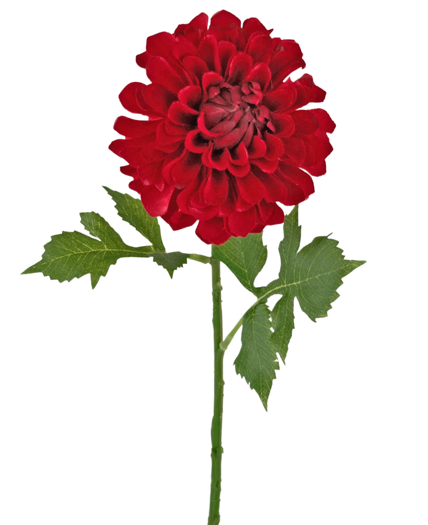 Kunstblume Dahlie 50 cm rot: eine einzelne rote Dahlie mit mehreren Lagen Blütenblättern und grünen Blättern an einem langen Stiel, isoliert auf weißem Hintergrund.