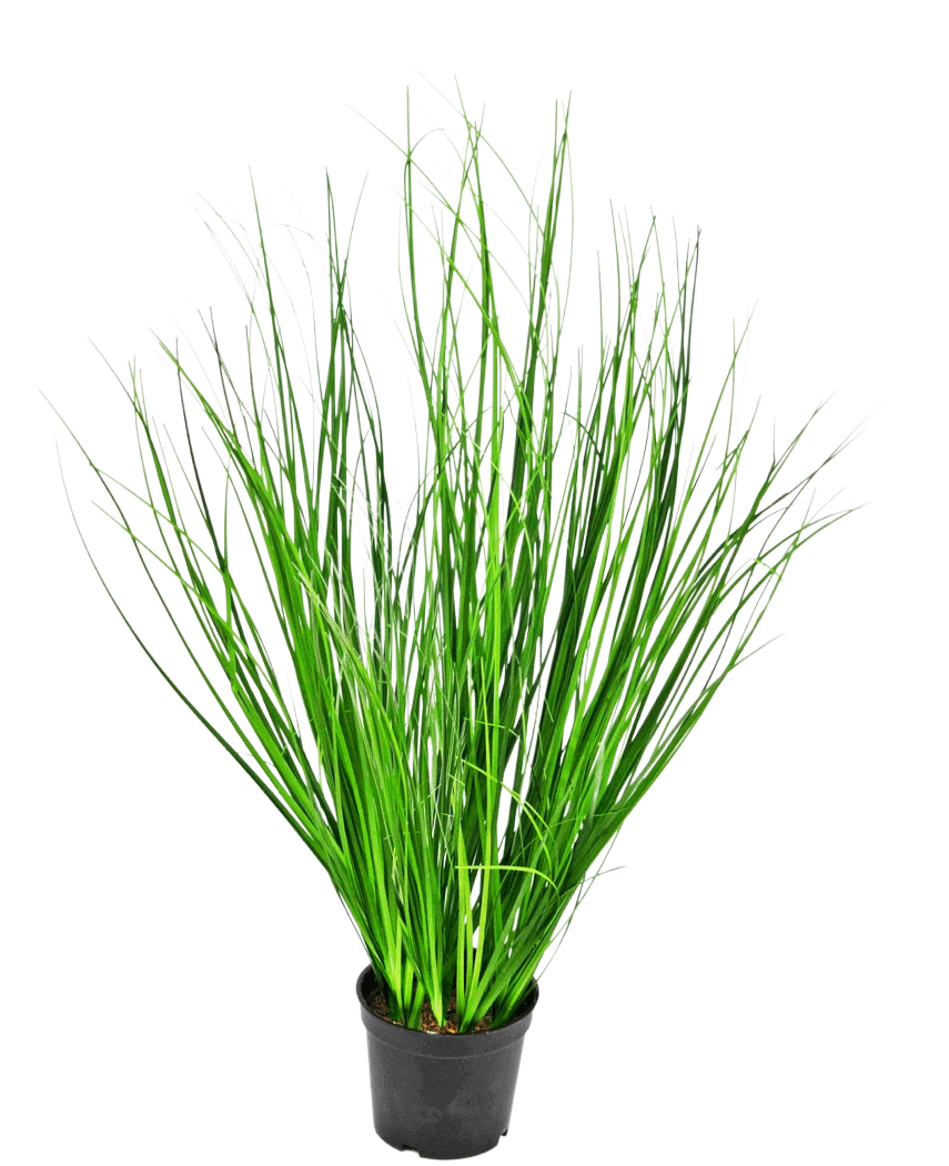Die feuerhemmende Kunstrasenpflanze Zwiebel 58 cm ist ein hohes dekoratives Gras mit schlanken grünen Halmen in einem schwarzen Kunststofftopf, dargestellt vor einem schlichten weißen Hintergrund.