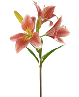 Auf einem Stiel der Kunstblume Asiatische Lilie 66 cm altrosa blühen mehrere rosa Lilien mit grünen Blättern vor einem schlichten weißen Hintergrund.