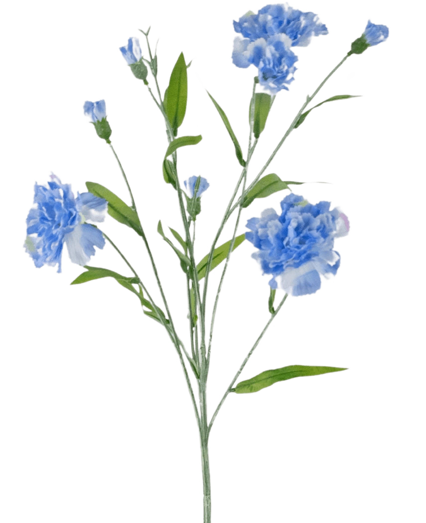 Der künstliche Nelkenstrauß 70 cm blau hat einen zarten Stiel mit mehreren hellblauen Nelkenblüten und grünen Blättern vor einem schlichten weißen Hintergrund.