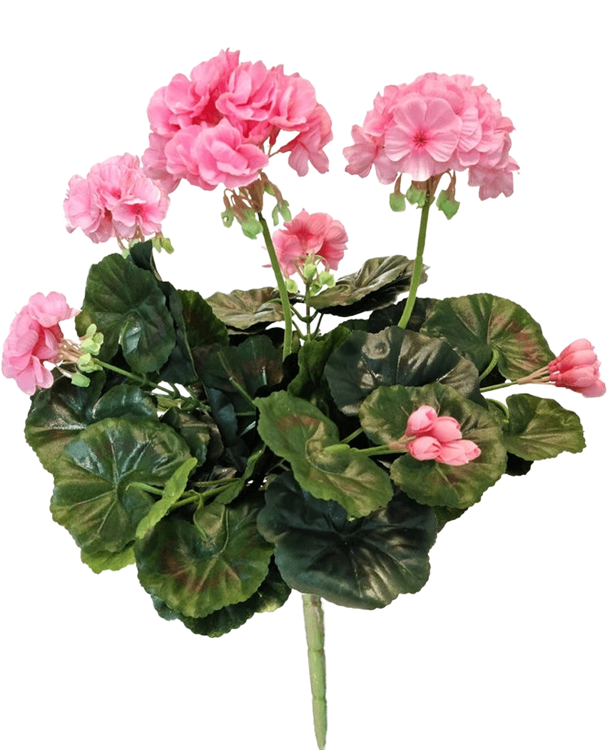 Die künstliche Geranie 40 cm rosa hat rosa Blüten und runde grüne Blätter an langen Stielen, die die Schönheit einer rosafarbenen Kunstpflanze oder einer künstlichen Geranie vor einem weißen Hintergrund zeigen.