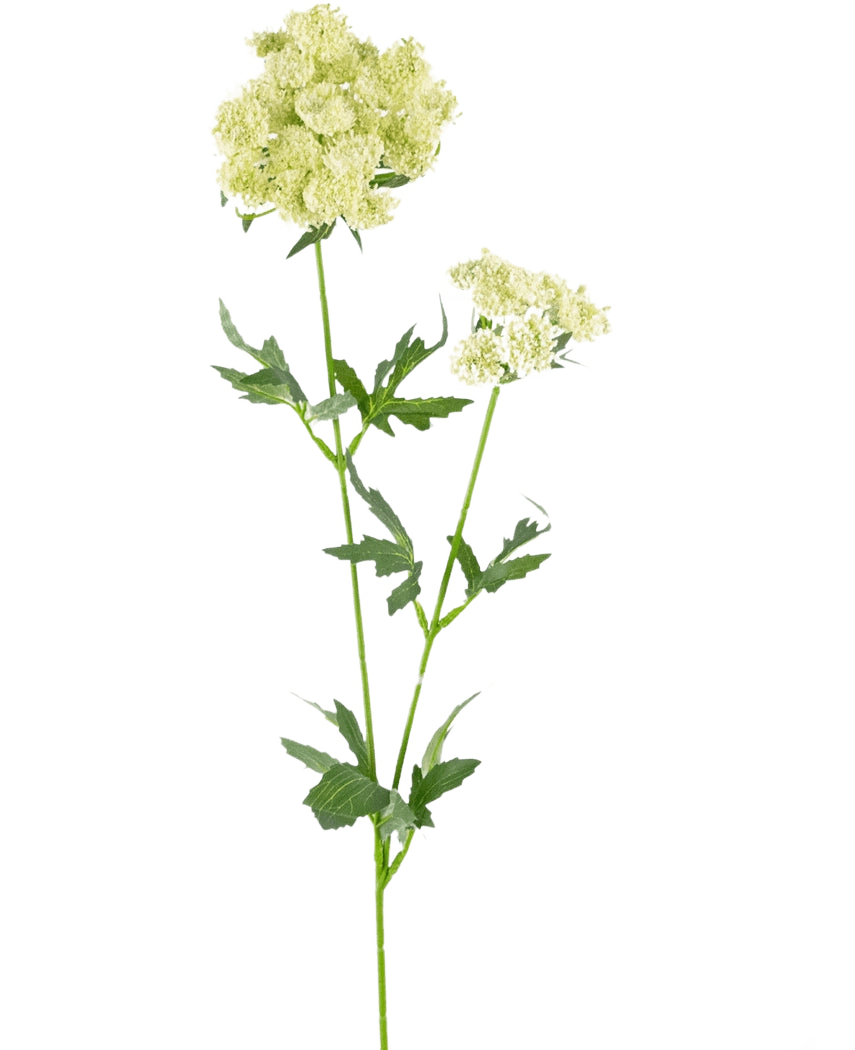 Die künstliche Spitzenblume 76 cm weiß ist ein einzelner künstlicher Stiel mit Büscheln kleiner, hellgrün-weißer Blüten und gezackten, tief gelappten grünen Blättern vor einem schlichten weißen Hintergrund.