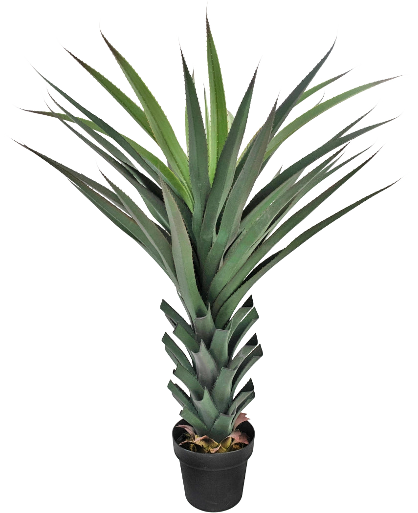 Die Kunstpflanze Agave Pandora UV 120 cm hat lange, spitze grüne Blätter, die sich von einem dicken, geschichteten Stiel vor einem schlichten weißen Hintergrund ausbreiten.