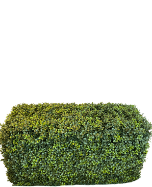 Die künstliche Buchsbaumhecke im römischen Stil (90 x 35 x 50 cm) ist eine dichte, rechteckige grüne Hecke mit kleinen Blättern, isoliert auf weißem Hintergrund.