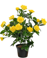 Die Kunstpflanze Mini Rose UV 35 cm Gelb ist eine künstliche Topfpflanze mit mehreren Stielen leuchtend gelber Rosen und grünen Blättern, die in einem kleinen schwarzen Behälter vor einem einfachen Hintergrund präsentiert wird.