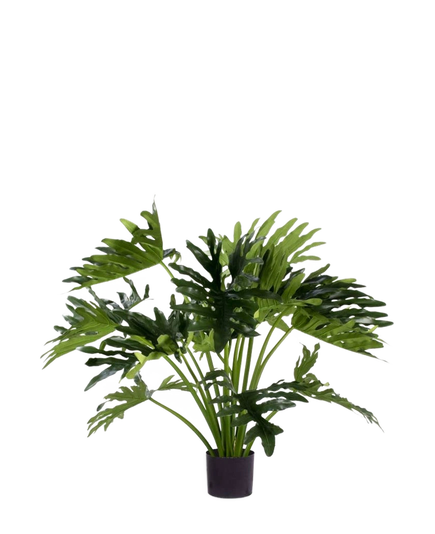 Die Kunstpflanze Philodendron UV 90 cm hat große, tief gelappte grüne Blätter im Topf und eignet sich perfekt als pflegeleichte Zimmerpflanze für mehr Grün im Innenbereich. Vor einem weißen Hintergrund verleiht es einen natürlichen Stil ohne Pflege.