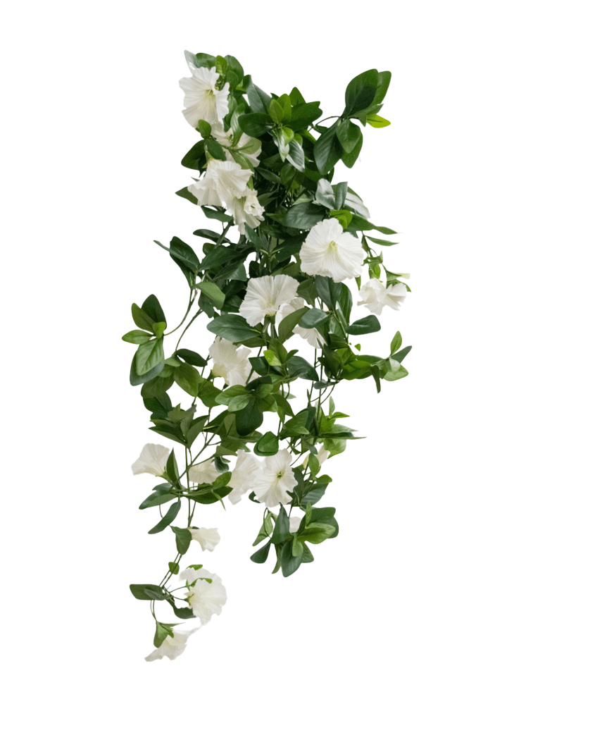 Die künstliche Hängepflanze Petunia 70 cm weiß hat grüne Blätter und weiße trompetenförmige Blüten in einem weinartigen Design vor einem schlichten weißen Hintergrund.