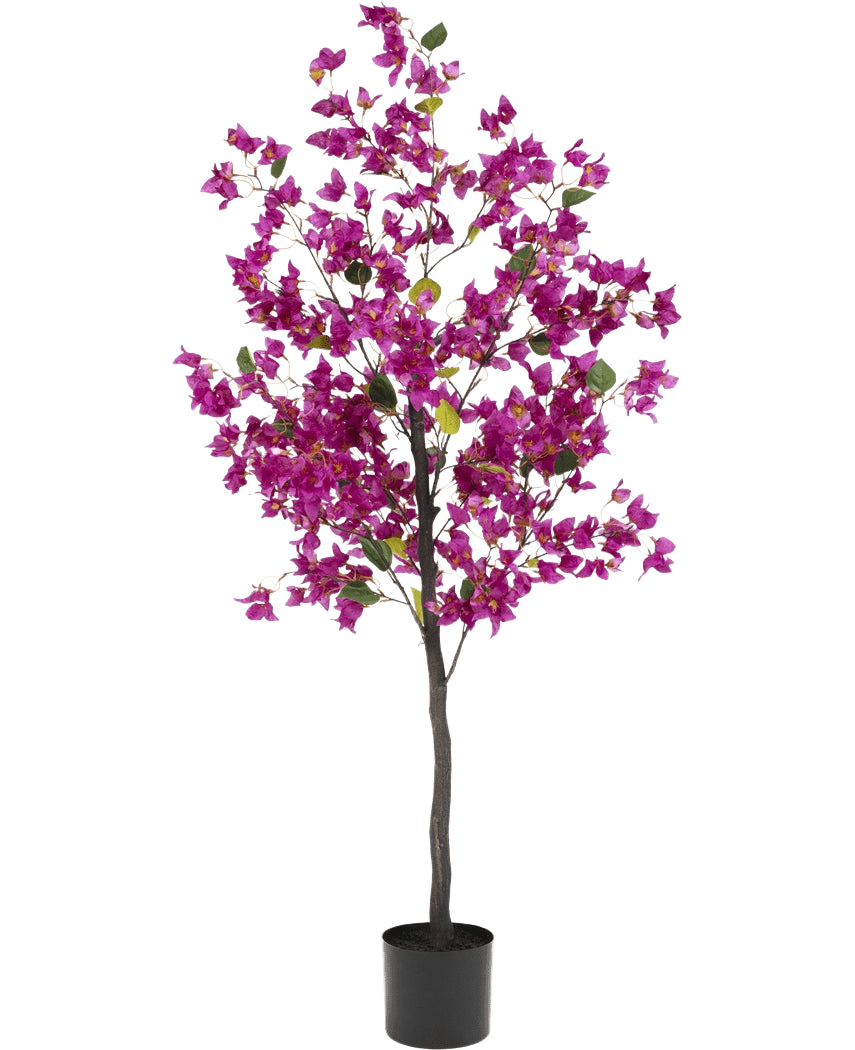 Die künstliche Bougainvillea 150 cm Lila hat einen hohen, schlanken Stiel mit leuchtend violetten Blüten und grünen Blättern, in einem einfachen schwarzen Topf vor einem weißen Hintergrund.