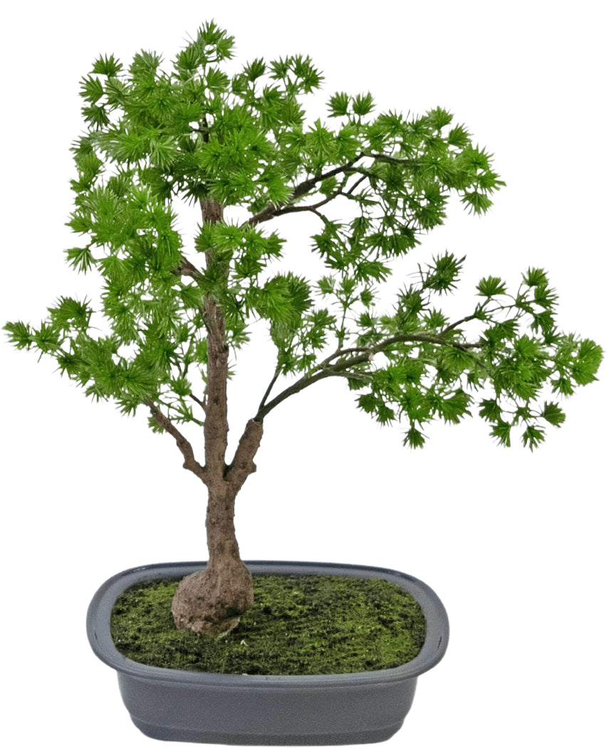 Die Kunstpflanze Bonsai Wacholder 40 cm hat einen schlanken Stamm und sattgrüne Blätter und wird in einen flachen, rechteckigen grauen Topf mit Moos gestellt. Der Hintergrund ist schlicht weiß.
