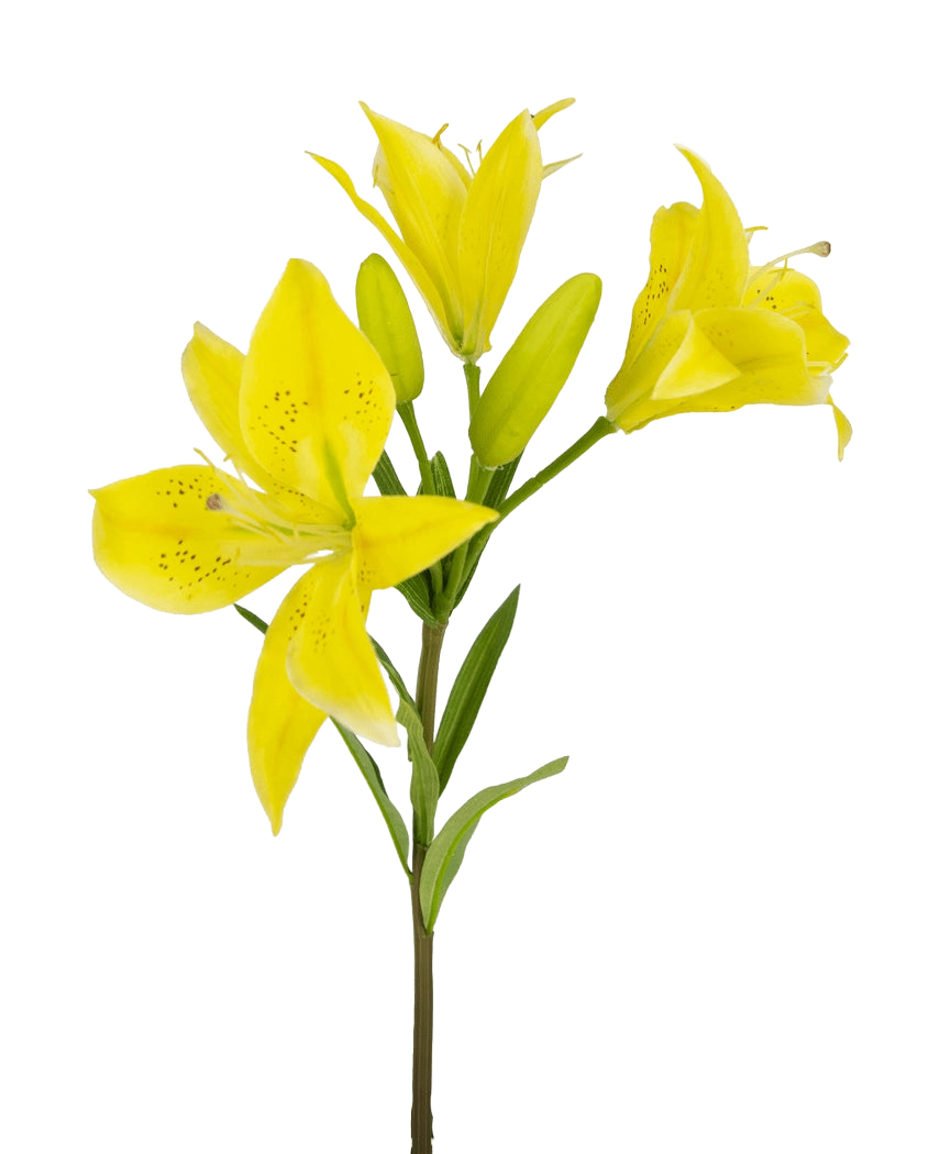 Die Kunstblume Asiatische Lilie 66 cm gelb hat einen Stiel mit mehreren blühenden gelben Lilien und ungeöffneten Knospen, spitze Blütenblätter mit dunklen Sprenkeln in der Mitte und grüne Blätter, alles vor einem weißen Hintergrund.