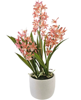 Die künstliche Cymbidium-Pflanze in Rosa (58 cm) hat hohe grüne Blätter und Büschel aus rosa und weißen Orchideenblüten, die in einem einfachen weißen Keramiktopf angeordnet sind und sich perfekt zur Verschönerung jedes Raums eignen.
