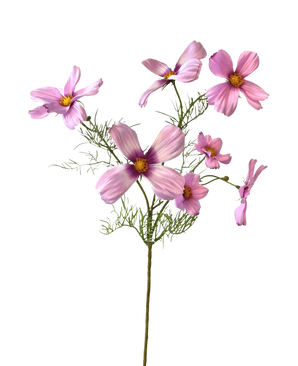 Der künstliche Blumenkosmos 74 cm rosa hat einen einzelnen Stiel mit mehreren hellrosa Kosmosblüten und zarten grünen Blättern, die wunderschön vor einem weißen Hintergrund zur Geltung kommen.
