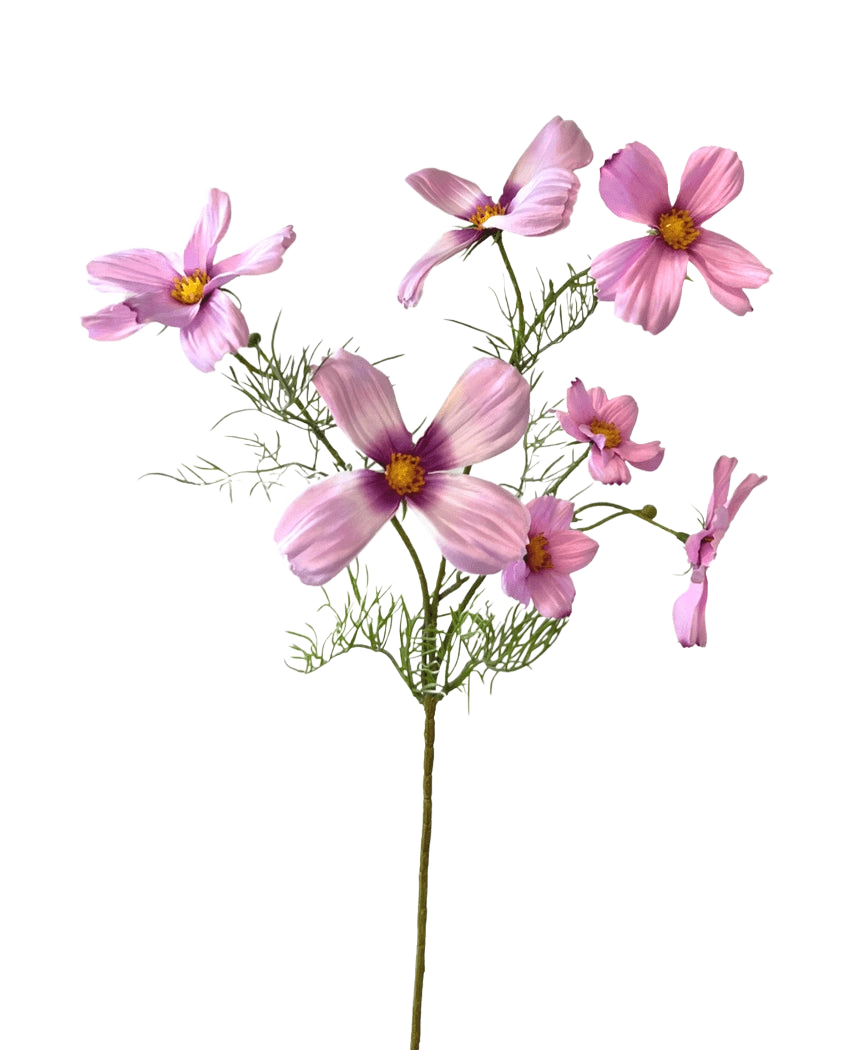 Der künstliche Blumenkosmos 74 cm rosa hat einen einzelnen Stiel mit mehreren hellrosa Kosmosblüten und zarten grünen Blättern, die wunderschön vor einem weißen Hintergrund zur Geltung kommen.
