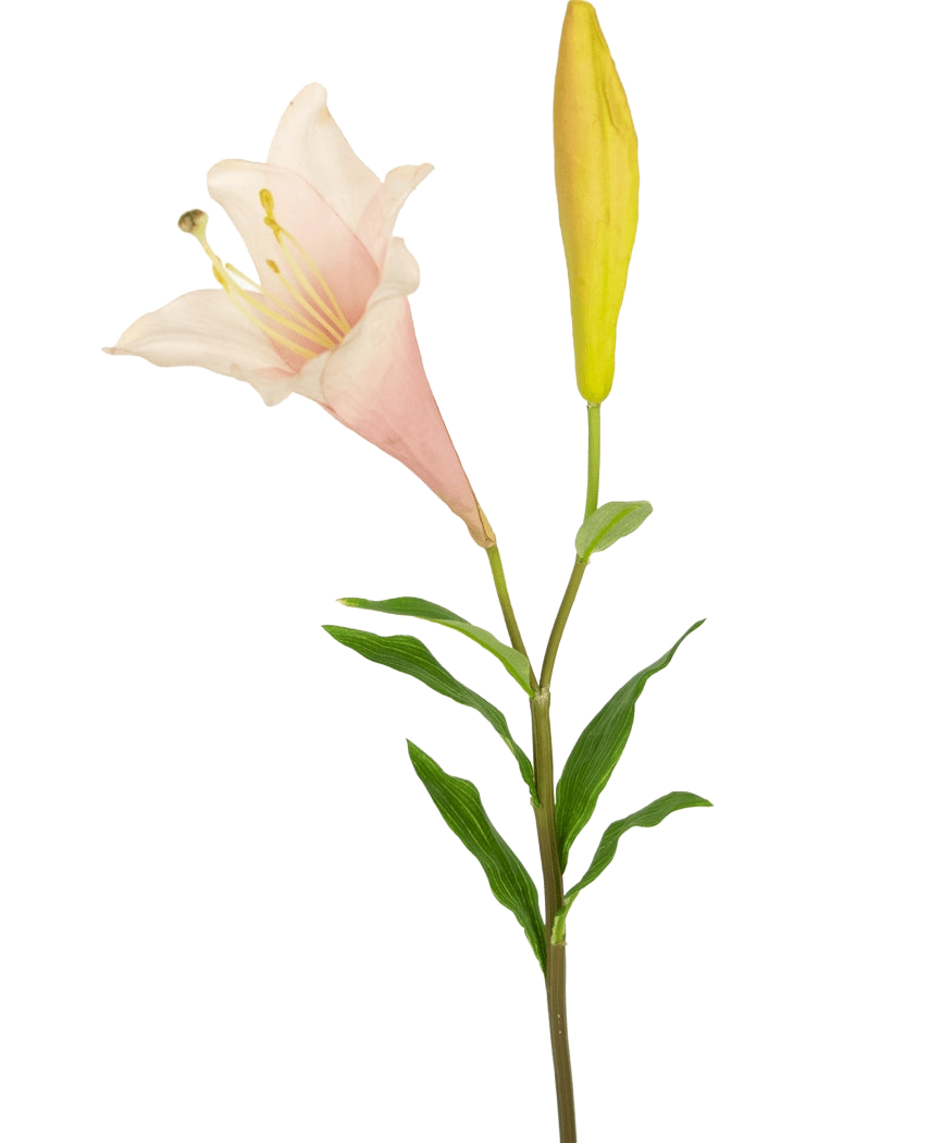 Die Kunstblume Exotische Lilie 74 cm rosa hat einen einzelnen Stiel mit einer blühenden hellrosa Lilie und einer geschlossenen gelben Knospe, umgeben von schlanken grünen Blättern, vor einem weißen Hintergrund.