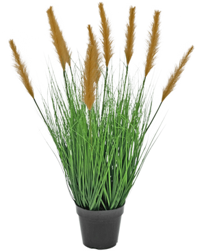 Die feuerhemmende Kunstrasenpflanze Strauß 80 cm hat lange, schlanke grüne Halme und hohe braune Federn in einem schwarzen Topf vor einem weißen Hintergrund – ideal für Kunstpflanzenliebhaber.