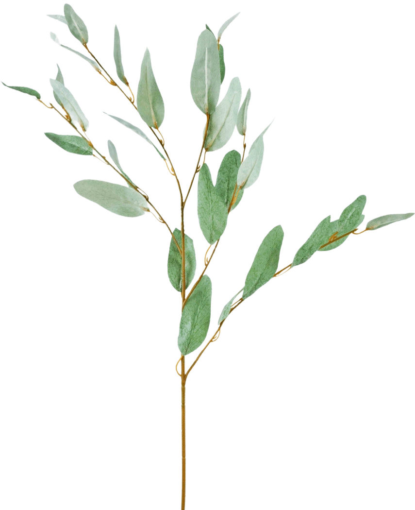Der künstliche Zweig Eukalyptus 86 cm grün besteht aus einem einzelnen dekorativen Eukalyptuszweig mit schlanken grünen Seidenblättern und dünnen braunen Stielen, isoliert auf einem weißen Hintergrund.