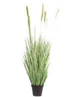 Die feuerhemmende Kunstrasenpflanze Grün 160 cm hat lange, schlanke Halme und Samenköpfe in einem kleinen schwarzen Topf. Ideal als stilvolle, feuerhemmende Kunstpflanze für jeden Raum.