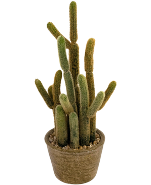 Der künstliche Kaktus Cereus 35 cm hat mehrere lange, flauschige grüne und braune Stängel, die in verschiedene Richtungen nach oben wachsen, in einem runden Topf mit Struktur und Dekosteinen.