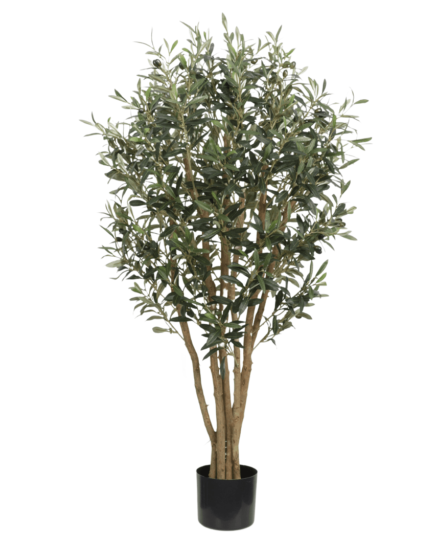 Der künstliche Olivenbaum UV 120 cm hat schlanke hellbraune Stämme und dichte grüne Blätter, ist UV-beständig für dauerhafte Schönheit im Freien und wird in einem einfachen schwarzen Topf geliefert – ideal als künstliche Pflanze im Freien vor jedem Hintergrund.